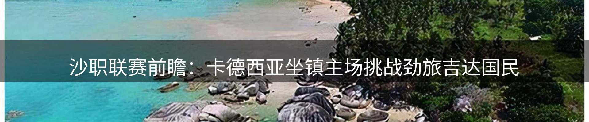 企业动态